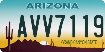 AZ license plate AVV7119