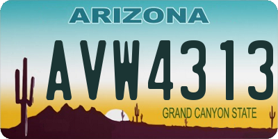 AZ license plate AVW4313
