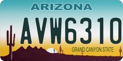 AZ license plate AVW6310