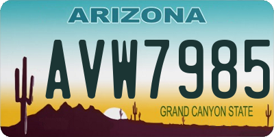 AZ license plate AVW7985