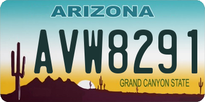 AZ license plate AVW8291