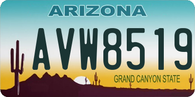 AZ license plate AVW8519