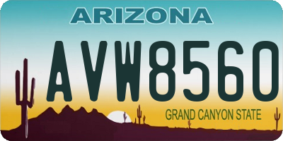 AZ license plate AVW8560