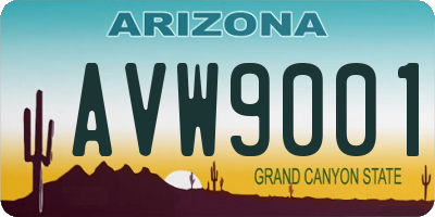 AZ license plate AVW9001