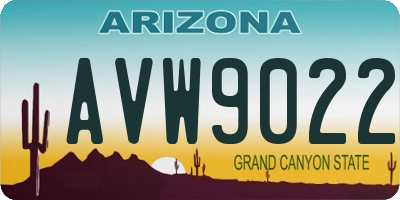 AZ license plate AVW9022