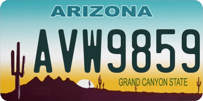 AZ license plate AVW9859