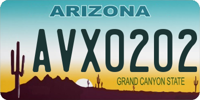 AZ license plate AVX0202