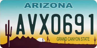AZ license plate AVX0691