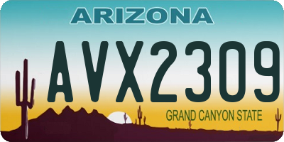 AZ license plate AVX2309