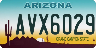 AZ license plate AVX6029
