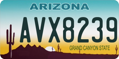 AZ license plate AVX8239