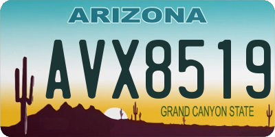 AZ license plate AVX8519