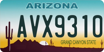 AZ license plate AVX9310