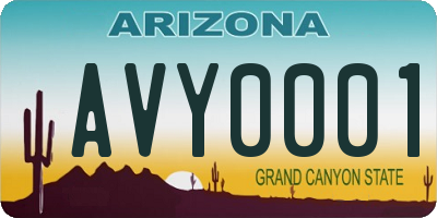 AZ license plate AVY0001