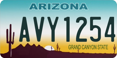 AZ license plate AVY1254
