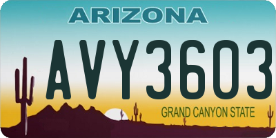 AZ license plate AVY3603