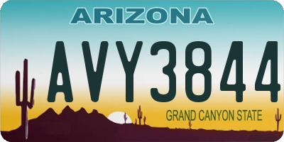 AZ license plate AVY3844
