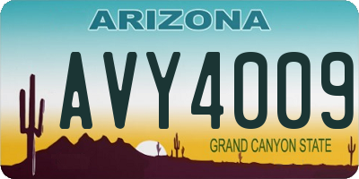 AZ license plate AVY4009