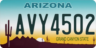AZ license plate AVY4502