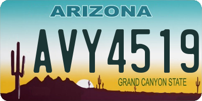 AZ license plate AVY4519
