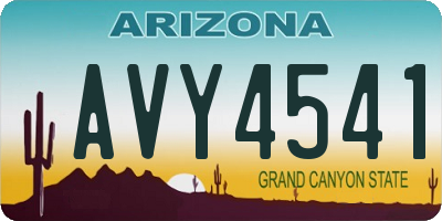 AZ license plate AVY4541