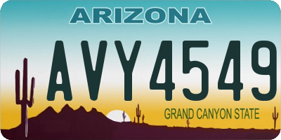 AZ license plate AVY4549