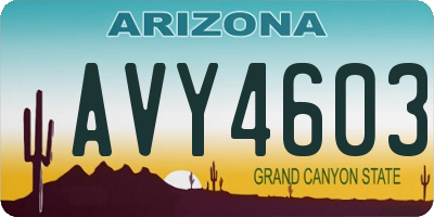 AZ license plate AVY4603