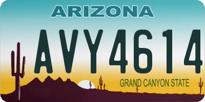 AZ license plate AVY4614