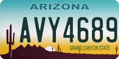 AZ license plate AVY4689