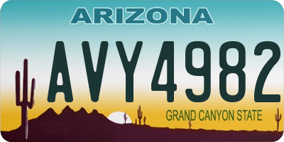 AZ license plate AVY4982