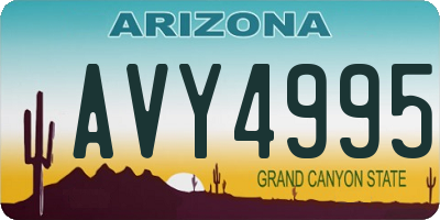 AZ license plate AVY4995