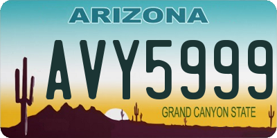 AZ license plate AVY5999