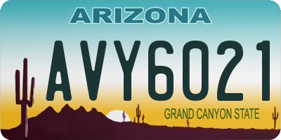 AZ license plate AVY6021