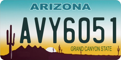 AZ license plate AVY6051