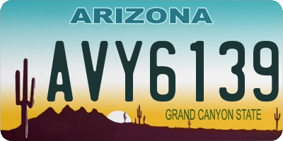 AZ license plate AVY6139