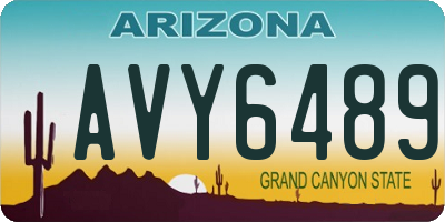 AZ license plate AVY6489