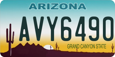 AZ license plate AVY6490