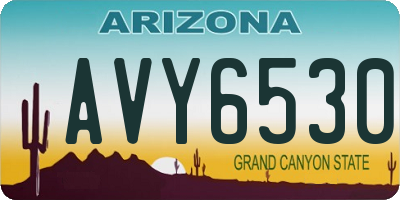 AZ license plate AVY6530