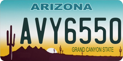 AZ license plate AVY6550