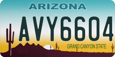 AZ license plate AVY6604