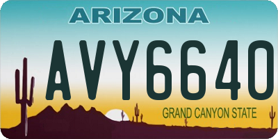 AZ license plate AVY6640