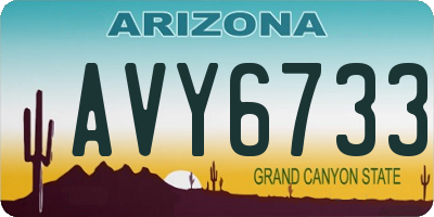 AZ license plate AVY6733
