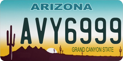 AZ license plate AVY6999