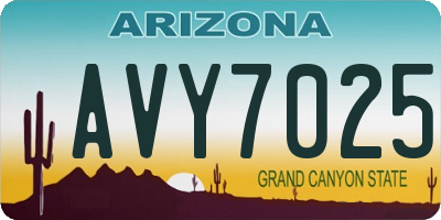 AZ license plate AVY7025