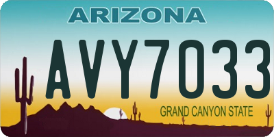 AZ license plate AVY7033