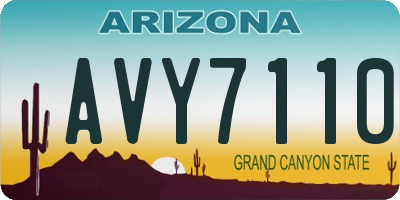 AZ license plate AVY7110