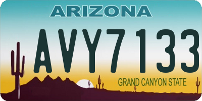 AZ license plate AVY7133