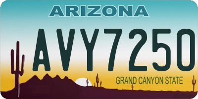 AZ license plate AVY7250
