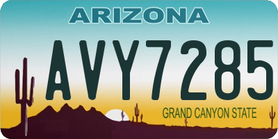 AZ license plate AVY7285