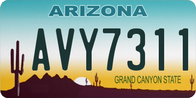AZ license plate AVY7311